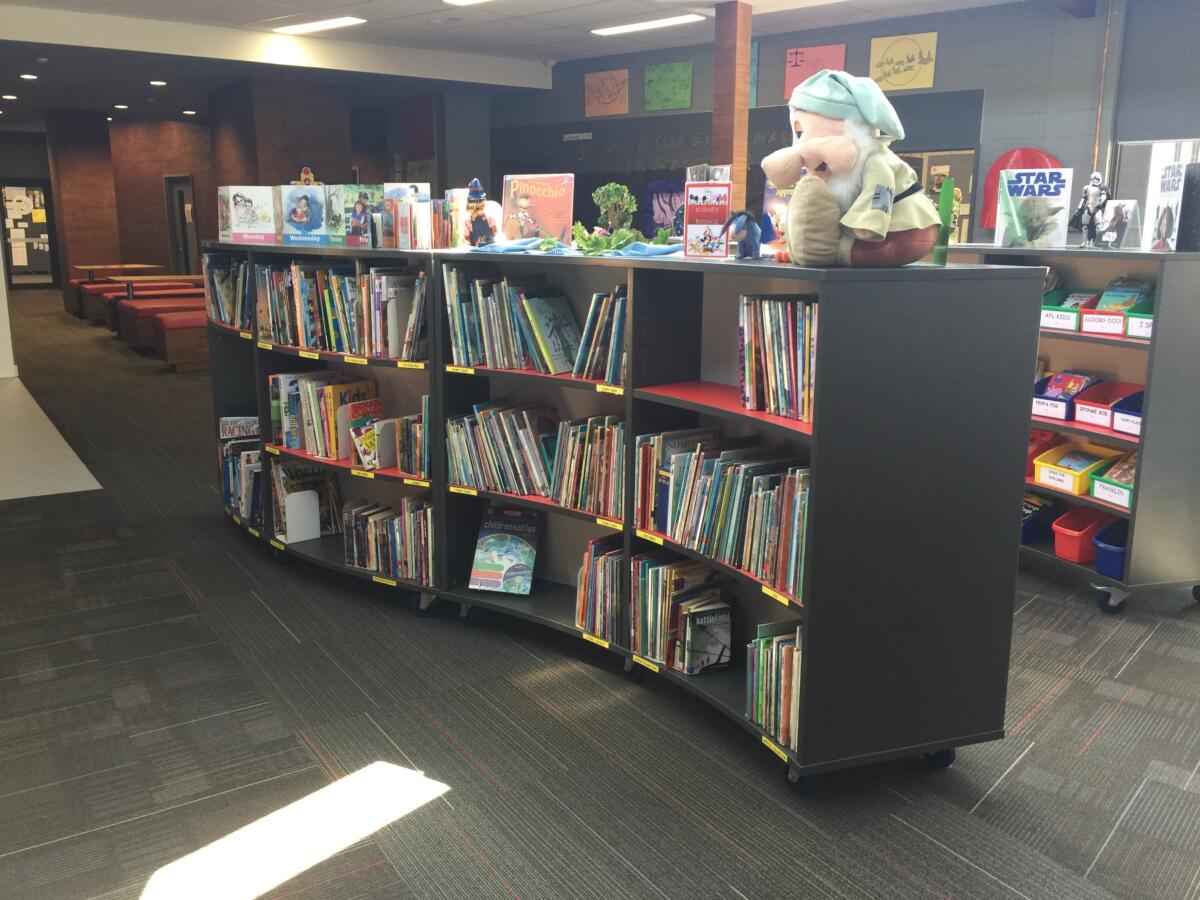 Curved Library Shelving